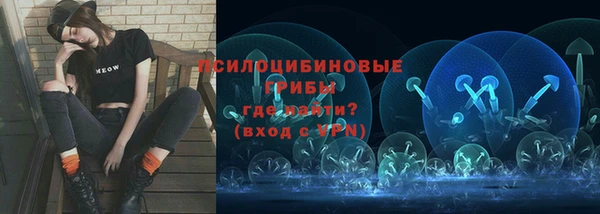 дурь Богданович