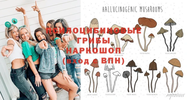 амфетамин Богородск