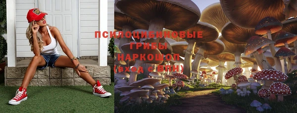 молекула духа Белоозёрский