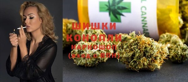 СК Богородицк
